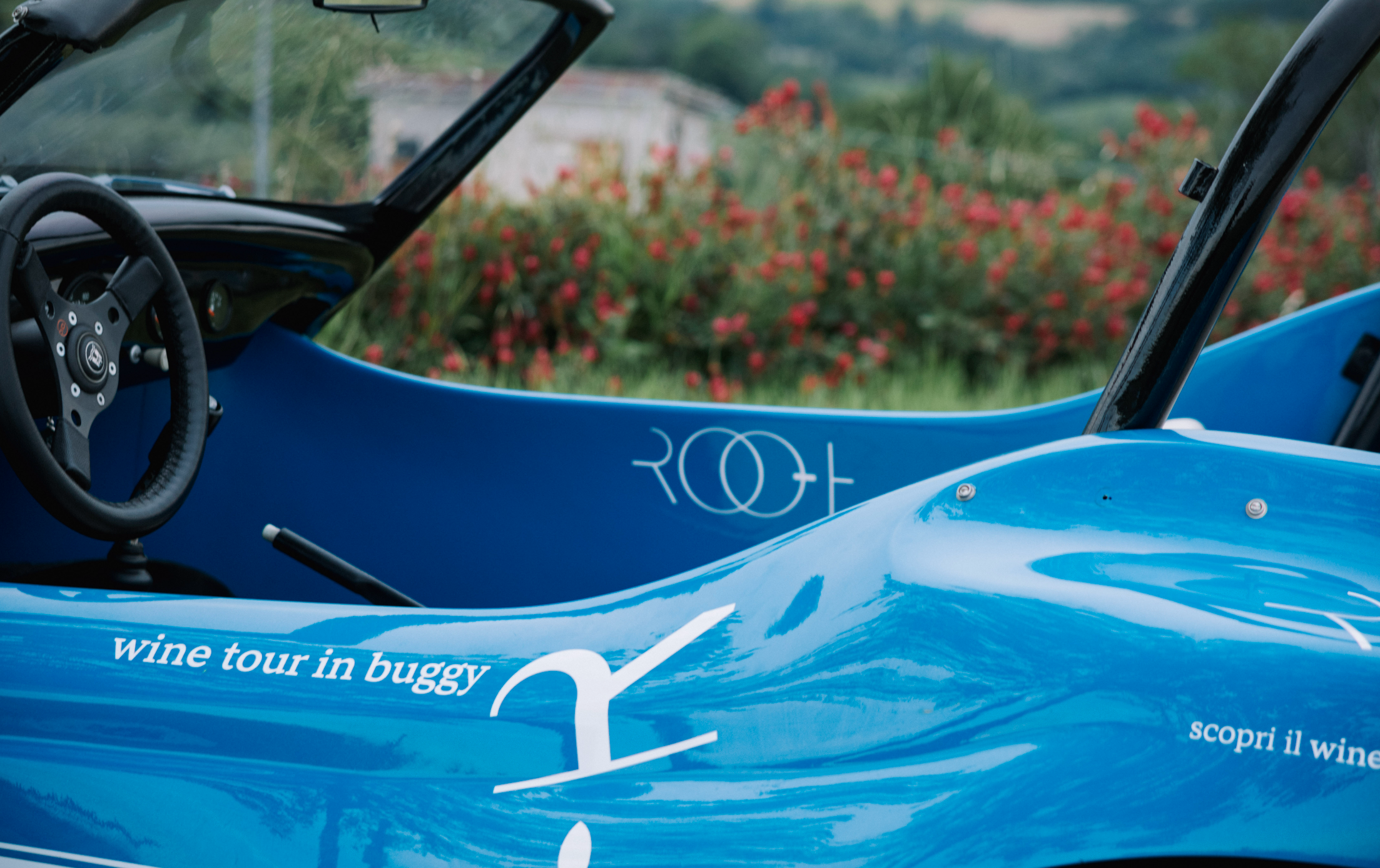 Wine Tour in Buggy